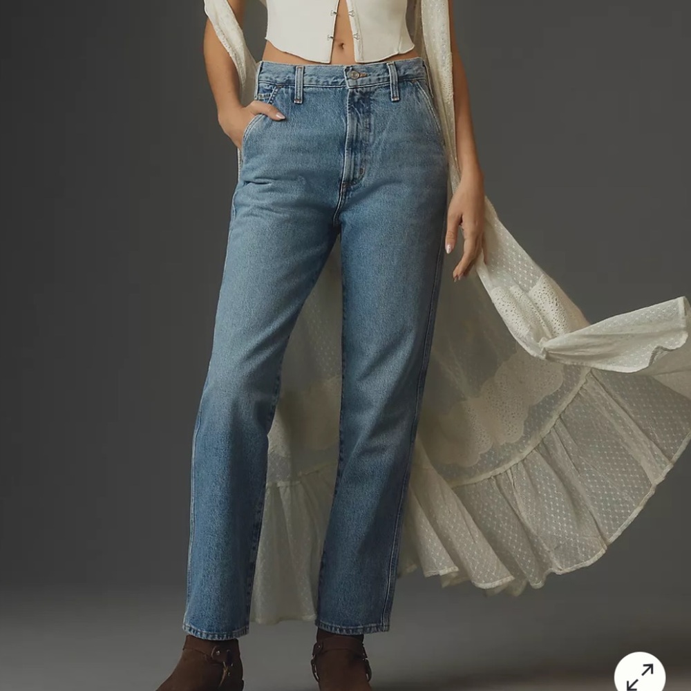 NWT - AGOLDE Cooper Trouser Mid-Rise Straight-Leg Jeans